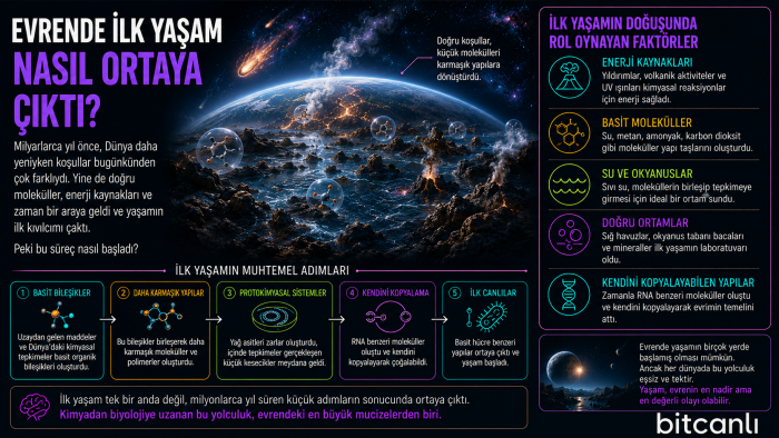 Evrende İlk Yaşam Nasıl Ortaya Çıktı?